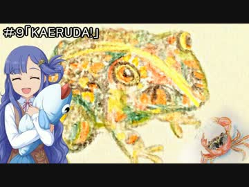 ナナミクのお悩み相談室（ただし魚は禁止とする）  ＃９