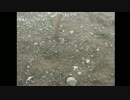 20160814 暗黒放送 地獄の平井から富士山へクリアするまで帰らない放送 ㊿