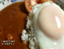 【これ食べたい】　カレーライス いろいろ