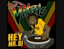 The Vitals - Hey Mr. DJ