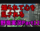 【スプラトゥーン】野良だけどS+目指してみなイカ？【Part12】