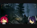 【夏企画】168と天龍のAlanWake　その13