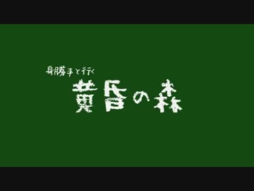 【ReIMu】Minecraft　黄昏の森実況part4