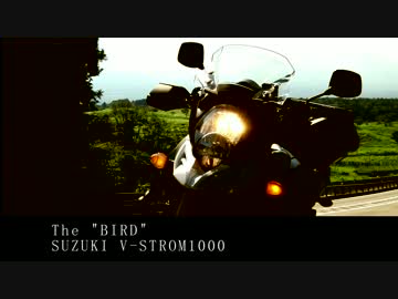 【V-Strom1000】鳥豚ツーPart.1　奥多摩に慣らしツーリング