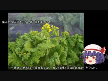 ゆっくり農民38暖冬対策をしてみませんか？