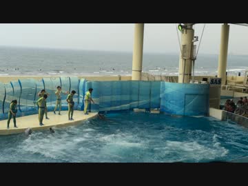 投稿テスト