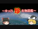 ～ゆっくり　珍　生物図鑑～　新・40回