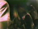 7 Seconds - Young ' Till I Die