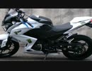 ガイとZ250がやっちゃった