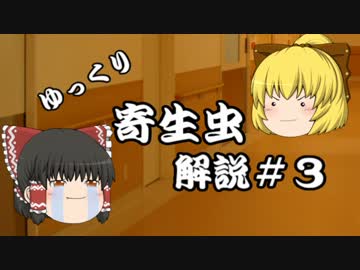 【ゆっくり解説】ゆっくり寄生虫解説#3~芽殖孤虫~