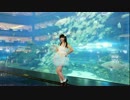 【sacyan】Marine Bloomin'❀【二周年】