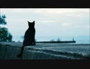 夏の猫【オリジナル曲】【結月ゆかり】