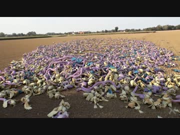 ポケモンGOの裏側【これはひどい】