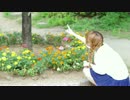 【さきそにー】君色に染まる  踊ってみた【誕生日】