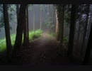【ゆっくり】伊豆ヶ岳-子の権現ハイキング【登山】