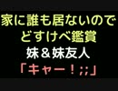 家に誰も居ないのでどすけべ鑑賞 　妹＆妹友人「キャー！；；」【2ch】