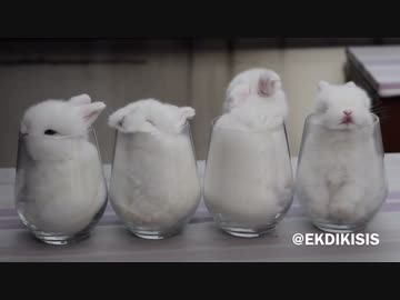 思う存分萌え死んでね