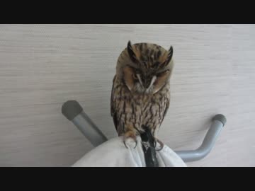 劇的ビフォーアフター