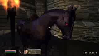 【Oblivion】我が道を行くオブリビオン 80【字幕】