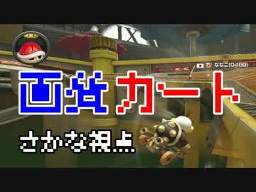 【綺麗な魚類になれるのか！？】　画質カート　【さかな視点】