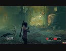 Zombie Army Trilogy　プレイ動画107