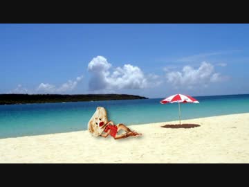 なんこちゃんなつやすみ