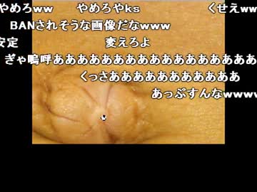 うんこちゃん『1人です』2枠目【2010/09/27夜】