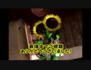 ボクの遠い夏の思い出 最終日