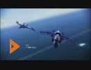 19のエスコンINF戦闘記録43　TDM