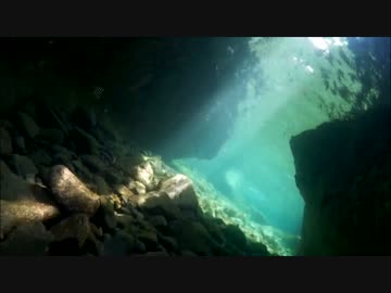 【水中カメラ】水中から川とか海を見てみよう！
