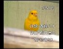 【初音ミク】かなりやをミクに歌わせてみた【童謡】