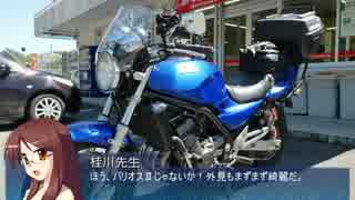 【そくドラ！外縁隊】 神様が往く！１６年８月その２【健康診断】