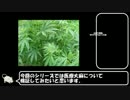 医療大麻について検証してみたPart0