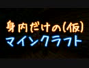 身内だけのマインクラフト(仮) パート２