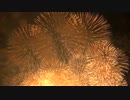 2016.8.20（山形）赤川花火　「Dolphins ～恋するイルカショー～」