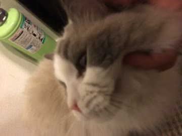 くも2016