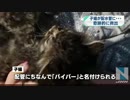 配水管の子猫を救え、ひもで尻尾を・・・