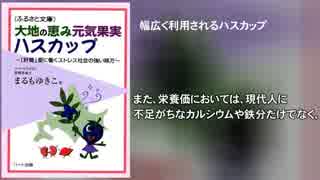 大地の恵み元気果実 ハスカップ～「肝腎」要に働くストレス社会の…