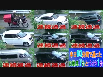 自宅前の通行量を毎日監視する統合失調症おじさん.mp4