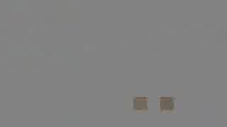 ネコ猫こんにちわ
