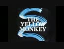 【良音質・俺得】THE YELLOW MONKEY【作業用BGM】