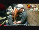 【藤ギタ！】勝手にシンドバッド/サザンオールスターズ【360日目】