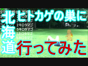【ポケモンGO】ヒトカゲの巣に行ってみた