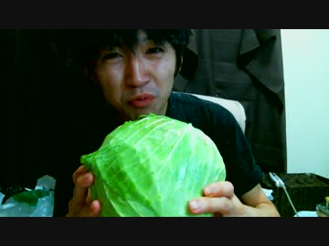１ヶ月野菜だけ生活【キャベツ編】