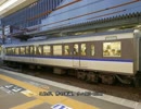 弱迷車見文録 #9　最凶変態顔編成の今