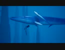 【初実況】出遅れたけど海行くぞ！ 【ABZU】part.3