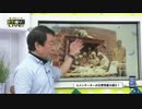 [青山繁晴] シベリア抑留犠牲者追悼の集いに僕ひとりだった 8.25