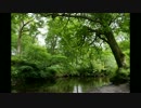 自然の音楽 川のせせらぎ スコットランド River sounds in Scotland BGM part1