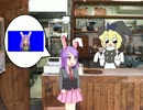 ヒスカス☆☆☆