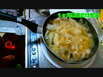 １ヶ月野菜だけ生活【キャベツ編２】